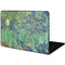 Vincent Van Gogh Irises Google Pixelbook Go Skin